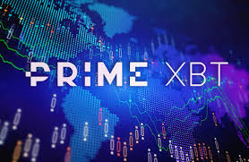 Understanding the PrimeXBT Login Process A Step-by-Step Guide Understanding the PrimeXBT Login Process A Step-by-Step Guide