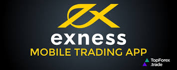Explore the World of Exness Trading Instruments